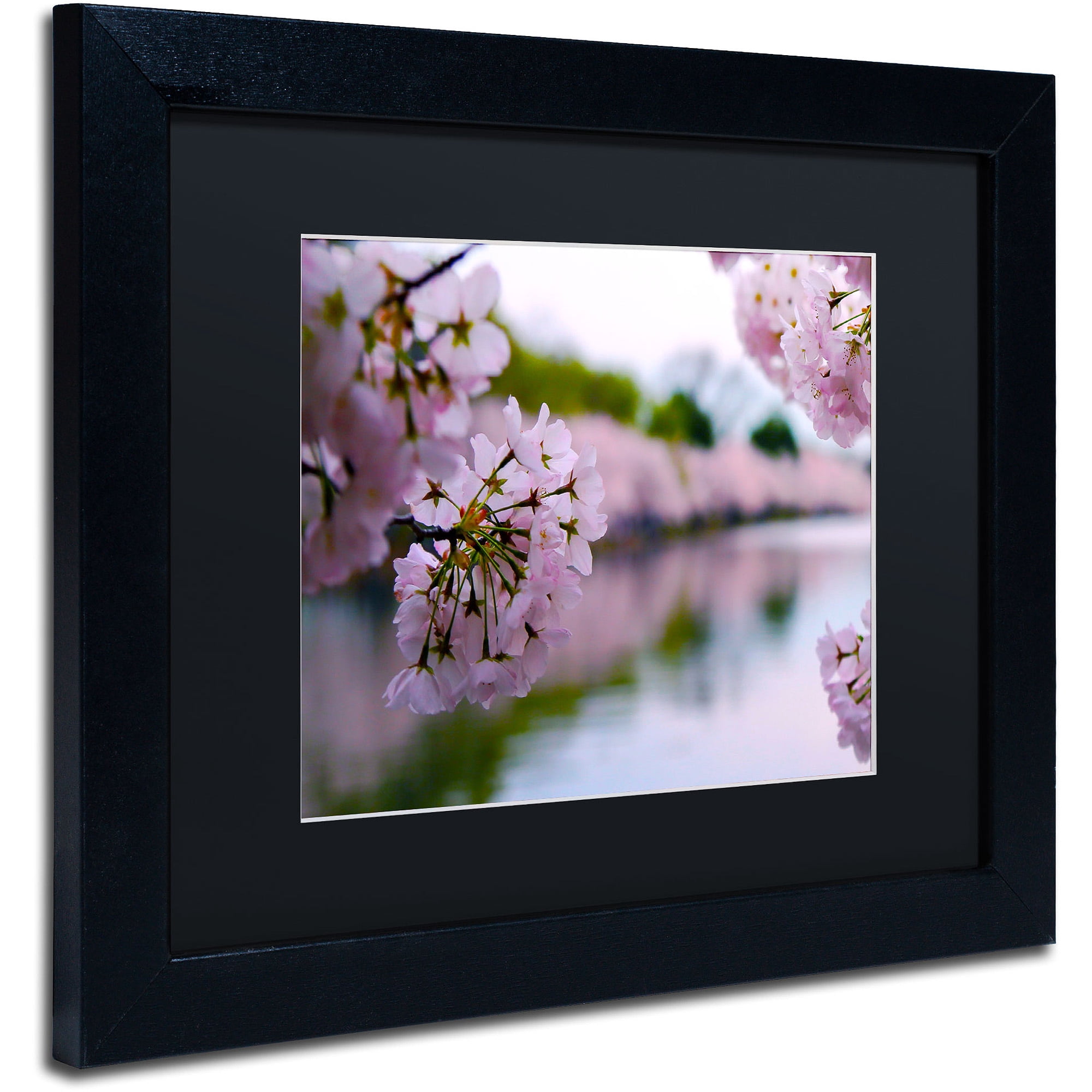 Trademark Fine Art "Cherry Blossoms 2014-2" Canvas Art by CATeyes, Black Matte, Black Frame