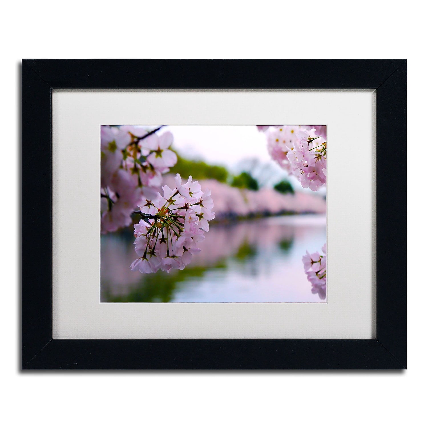 Trademark Fine Art "Cherry Blossoms 2014-2" Canvas Art by CATeyes, White Matte, Black Frame