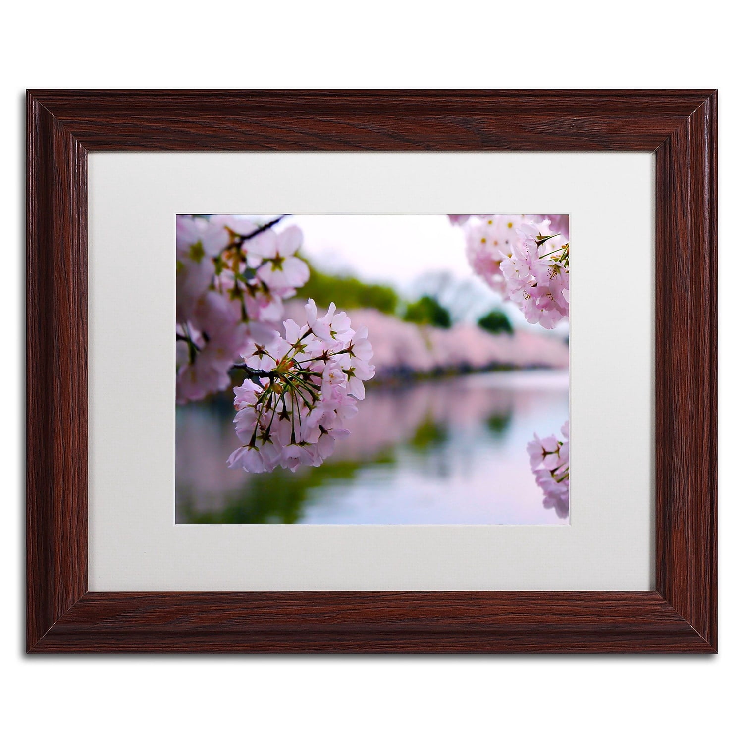 Trademark Fine Art "Cherry Blossoms 2014-2" Canvas Art by CATeyes, White Matte, Wood Frame