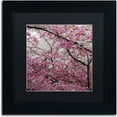 thumbnail image 1 of Trademark Fine Art "Cherry Blossoms 2014-3" Canvas Art by CATeyes, Black Matte, Black Frame, 1 of 3