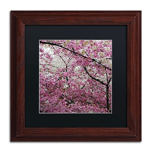 Trademark Fine Art "Cherry Blossoms 2014-3" Canvas Art by CATeyes, Black Matte, Wood Frame