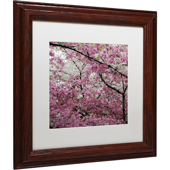 Trademark Fine Art "Cherry Blossoms 2014-3" Canvas Art by CATeyes, White Matte, Wood Frame