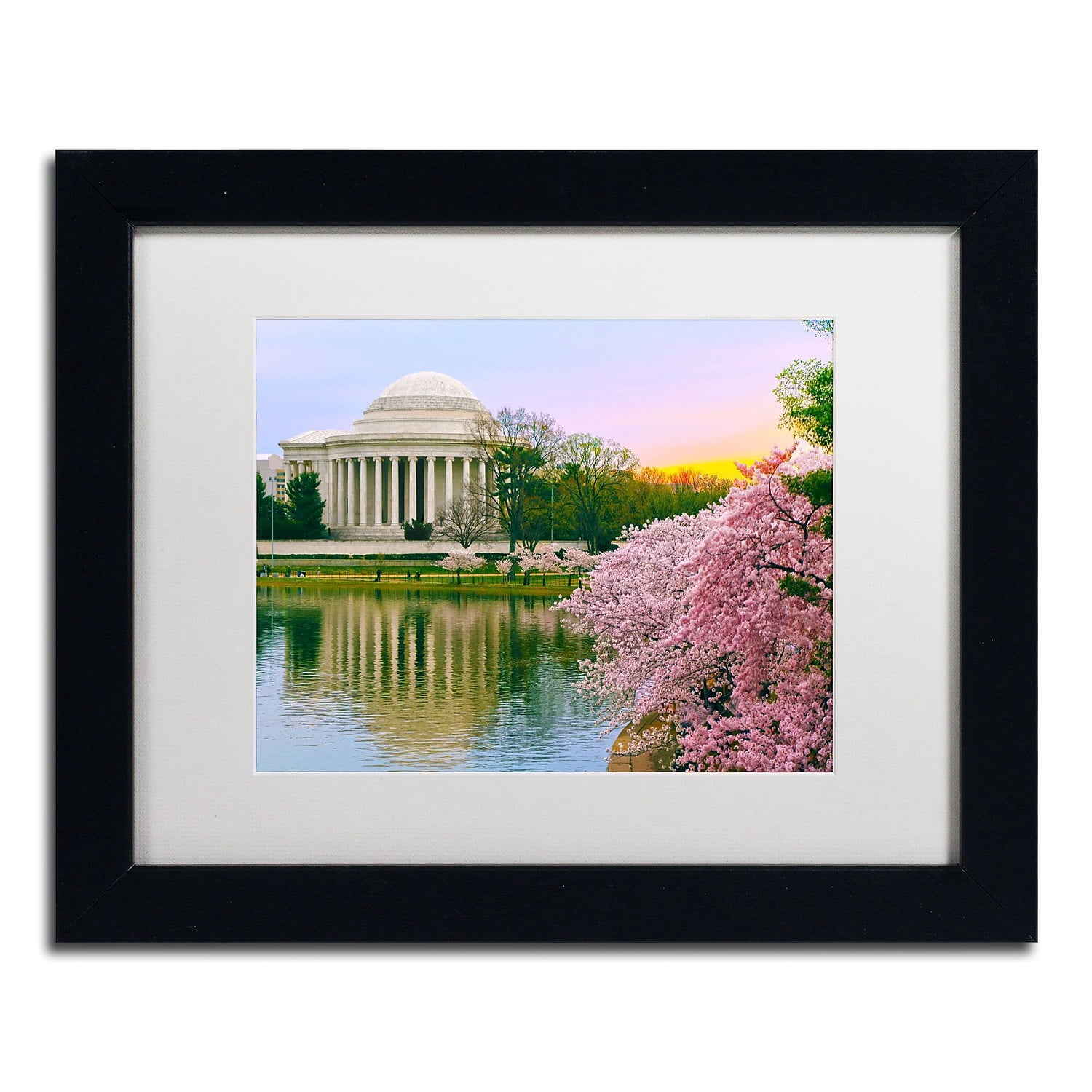 Trademark Fine Art "Cherry Blossoms 2014-6" Canvas Art by CATeyes, White Matte, Black Frame