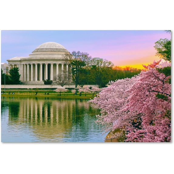 Trademark Fine Art "Cherry Blossoms 2014-6" Canvas Art by CATeyes