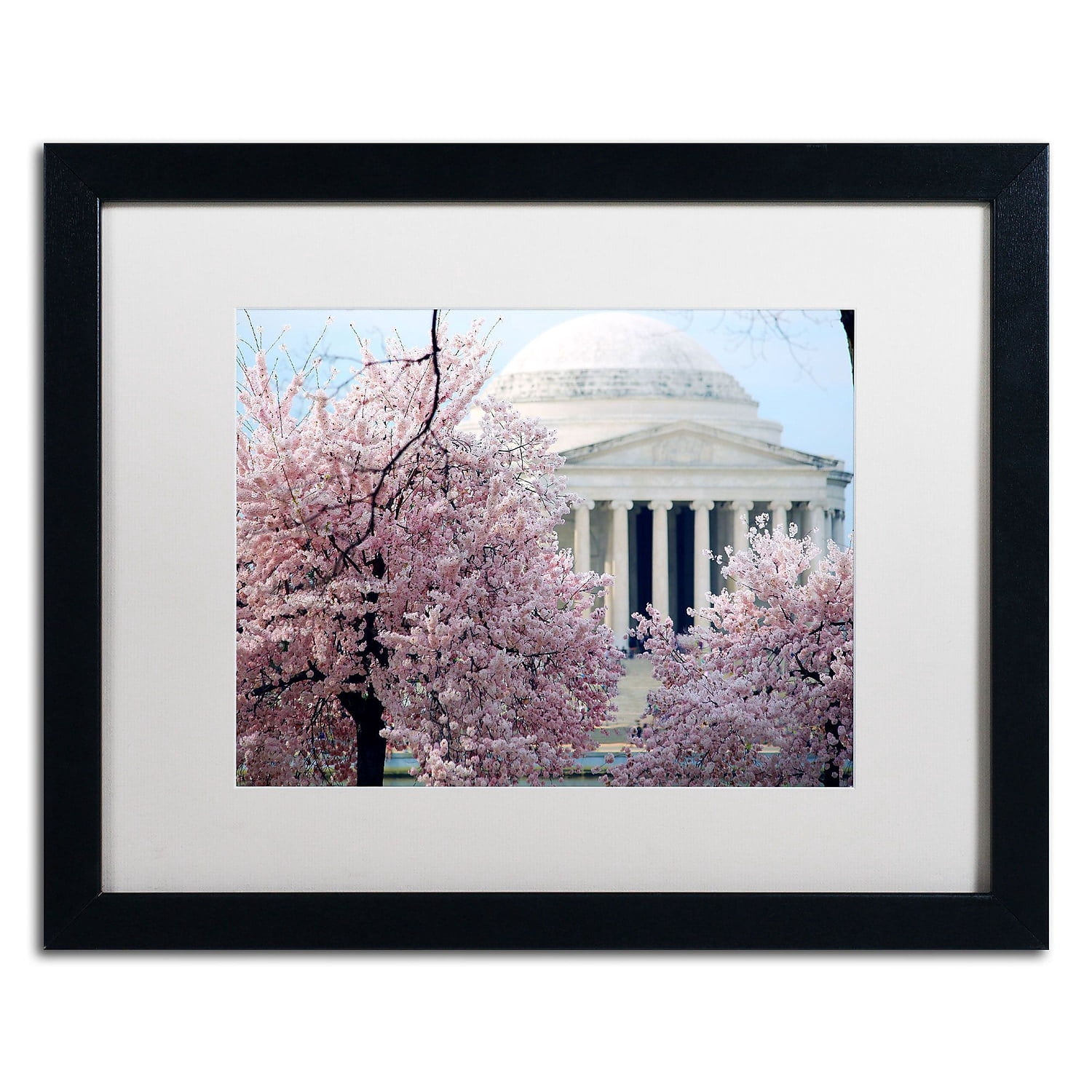 Trademark Fine Art "Cherry Blossoms 2014-7" Canvas Art by CATeyes, White Matte, Black Frame