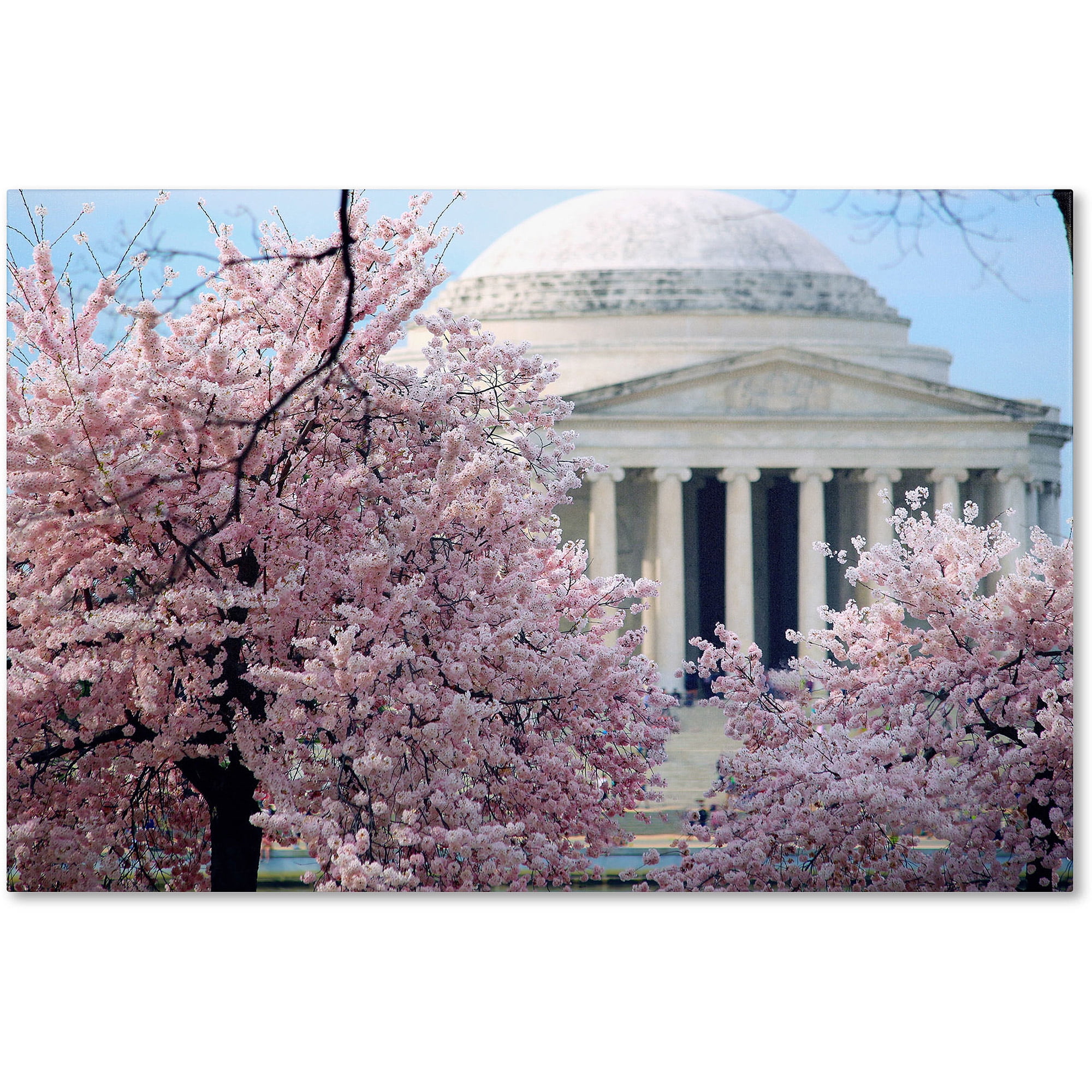 Trademark Fine Art "Cherry Blossoms 2014-7" Canvas Art by CATeyes