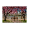 thumbnail image 1 of Trademark Fine Art 'Cherry Blossoms In Nyc' Canvas Art by Jason Matias, 1 of 3