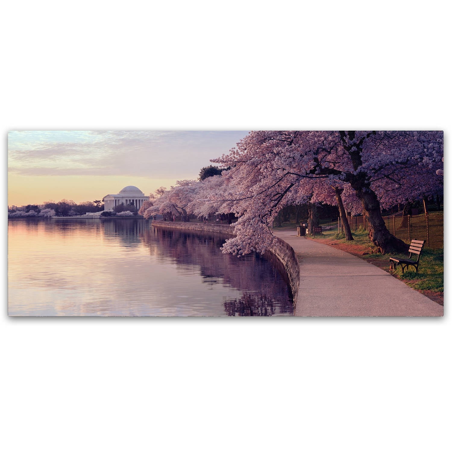 Trademark Fine Art "Cherry Blossoms Jefferson Memorial" Canvas Art by Gregory O'Hanlon
