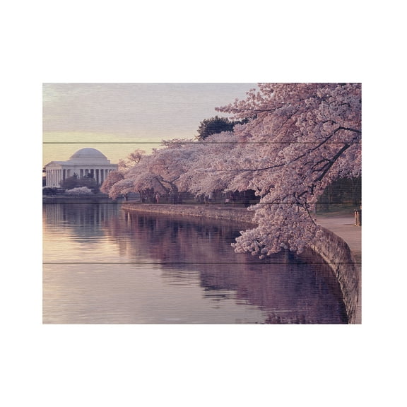 Trademark Fine Art 'Cherry Blossoms Jefferson Memorial' Wooden Wall Art Art by Gregory OHanlon