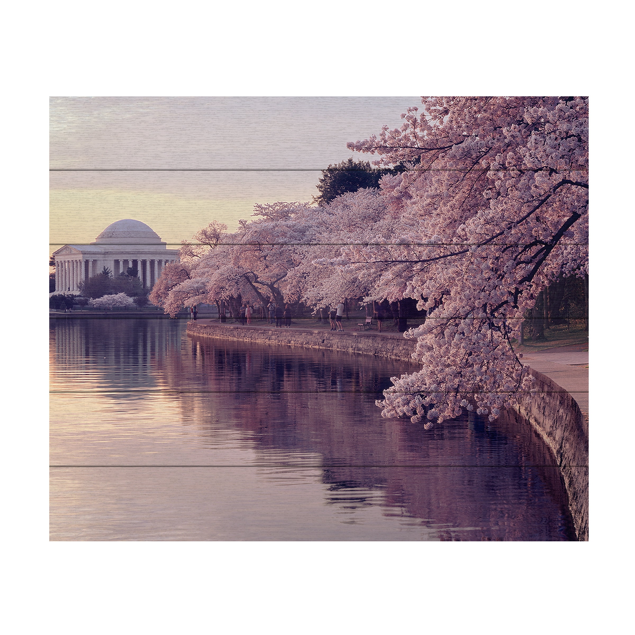 Trademark Fine Art 'Cherry Blossoms Jefferson Memorial' Wooden Wall Art Art by Gregory OHanlon