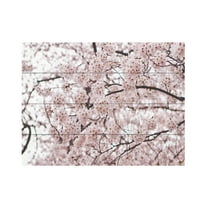 Trademark Fine Art 'Cherry Blossoms' Wooden Wall Art Art by Ariane Moshayedi