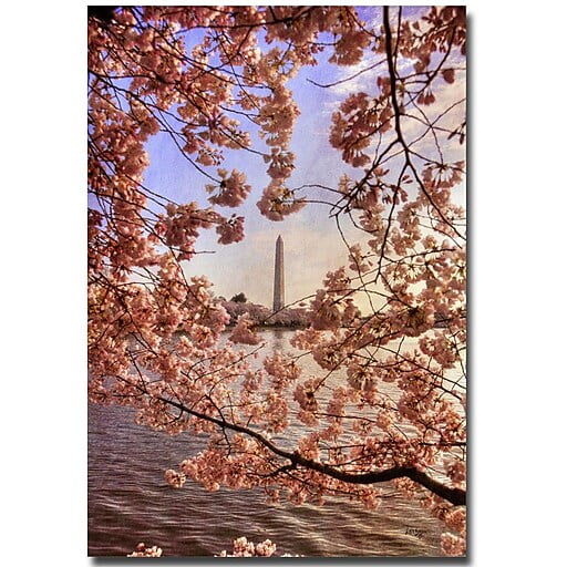 Trademark Fine Art "Cherry Blossoms at the Washington Monument" Canvas Art by Lois Bryan