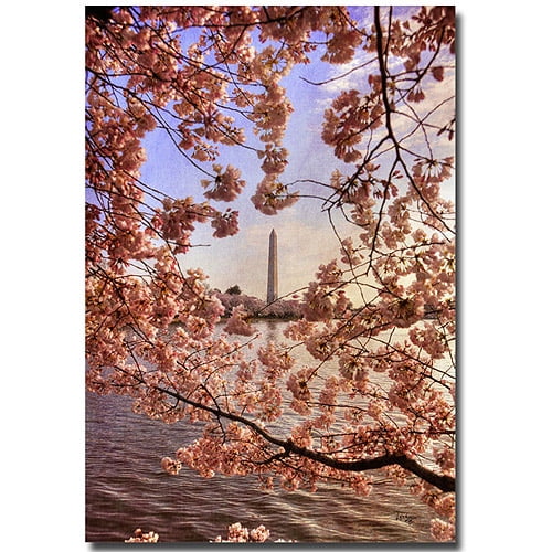 Trademark Fine Art "Cherry Blossoms at the Washington Monument" Canvas Art by Lois Bryan