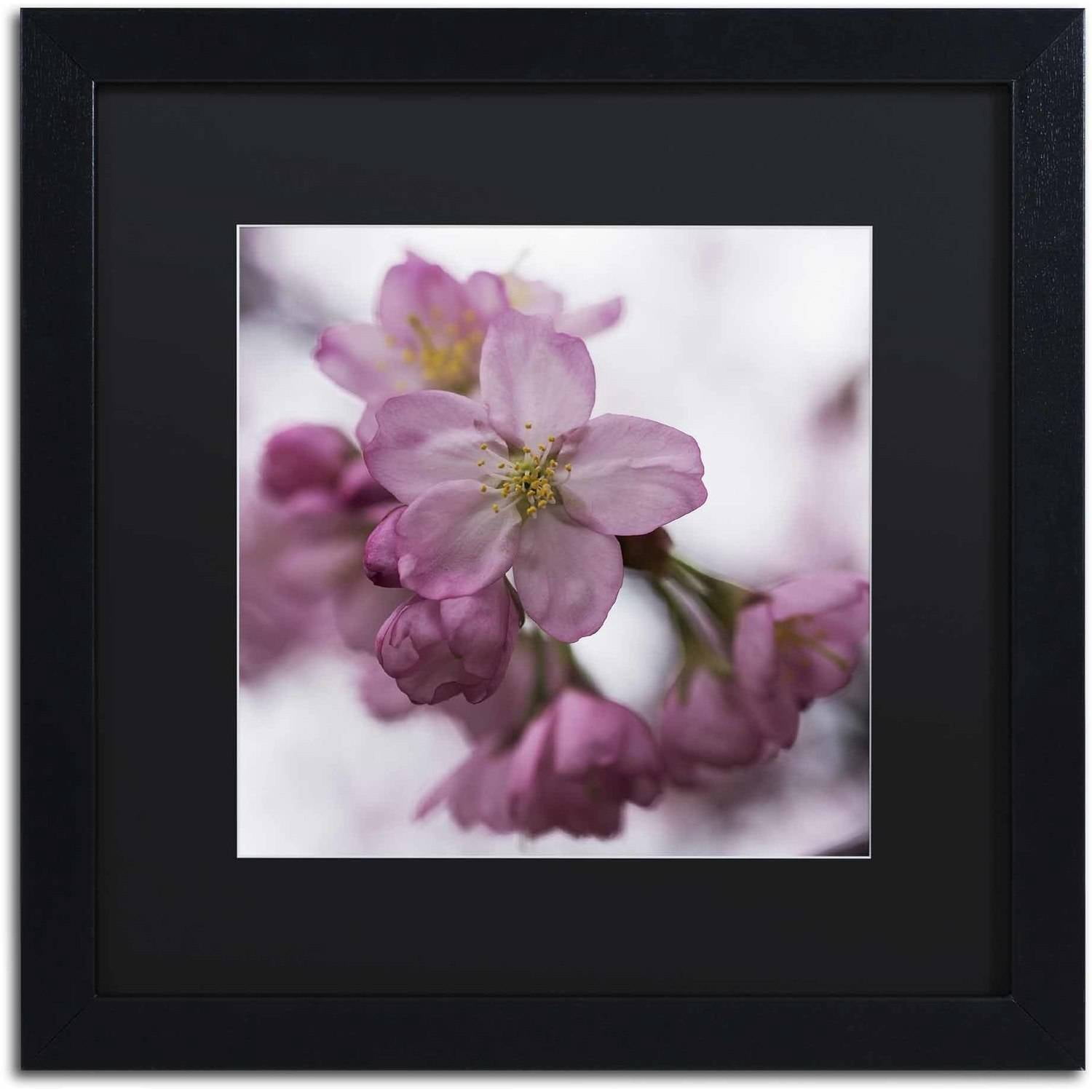 Trademark Fine Art "Cherry Pink" Canvas Art by Kurt Shaffer, Black Matte, Black Frame