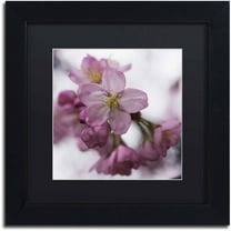 Trademark Fine Art "Cherry Pink" Canvas Art by Kurt Shaffer, Black Matte, Black Frame