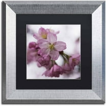 Trademark Fine Art "Cherry Pink" Canvas Art by Kurt Shaffer, Black Matte, Silver Frame