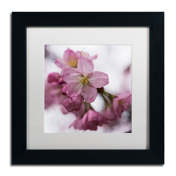 Trademark Fine Art "Cherry Pink" Canvas Art by Kurt Shaffer, White Matte, Black Frame