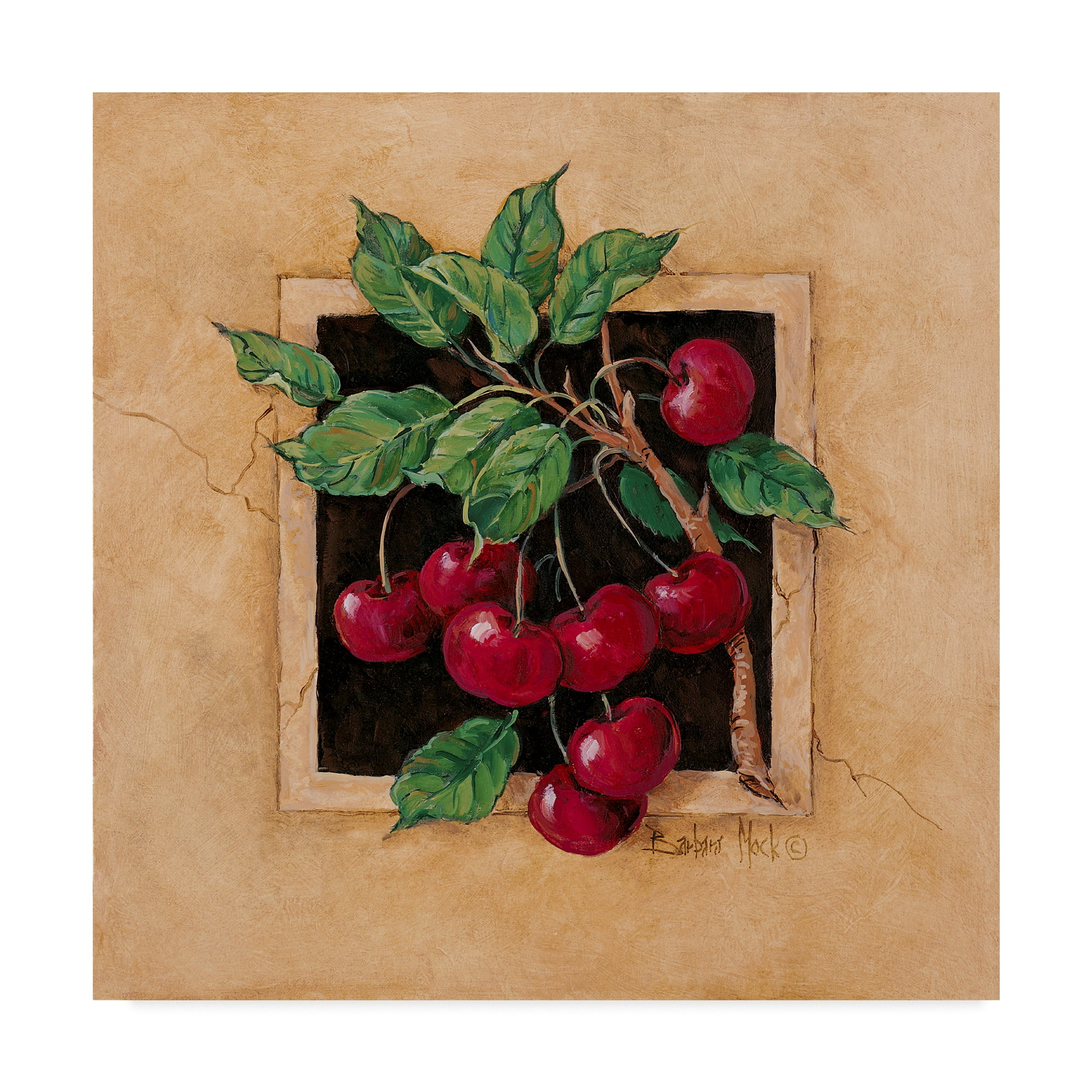 Trademark Fine Art ' Cherry Square' Canvas Art by Barbara Mock