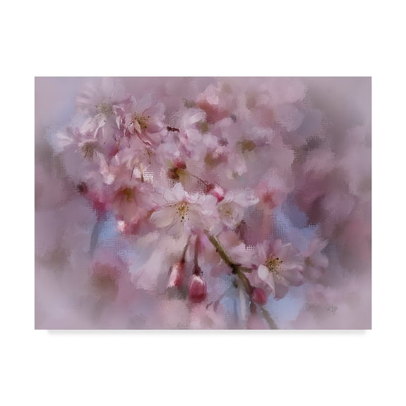 Trademark Fine Art 'Cherry Tree Branch' Canvas Art by Lois Bryan
