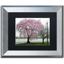 Trademark Fine Art "Cherry Tree" Canvas Art by CATeyes, Black Matte, Silver Frame