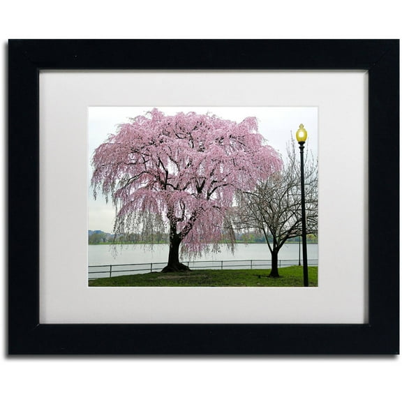 Trademark Fine Art "Cherry Tree" Canvas Art by CATeyes, White Matte, Black Frame