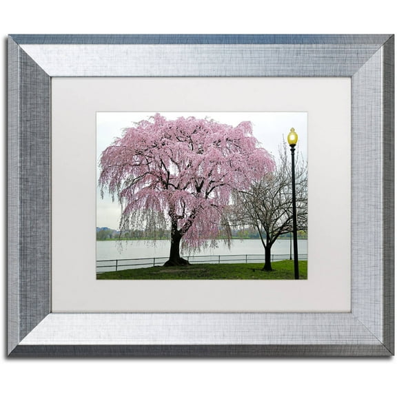 Trademark Fine Art "Cherry Tree" Canvas Art by CATeyes, White Matte, Silver Frame