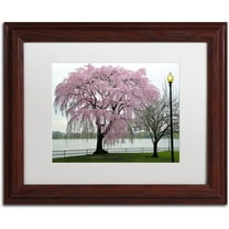 Trademark Fine Art "Cherry Tree" Canvas Art by CATeyes, White Matte, Wood Frame