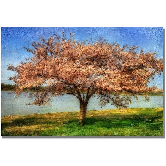 Trademark Fine Art "Cherry Tree" Canvas Wall Art by Lois Bryan