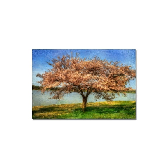 Trademark Fine Art "Cherry Tree" Canvas Wall Art by Lois Bryan