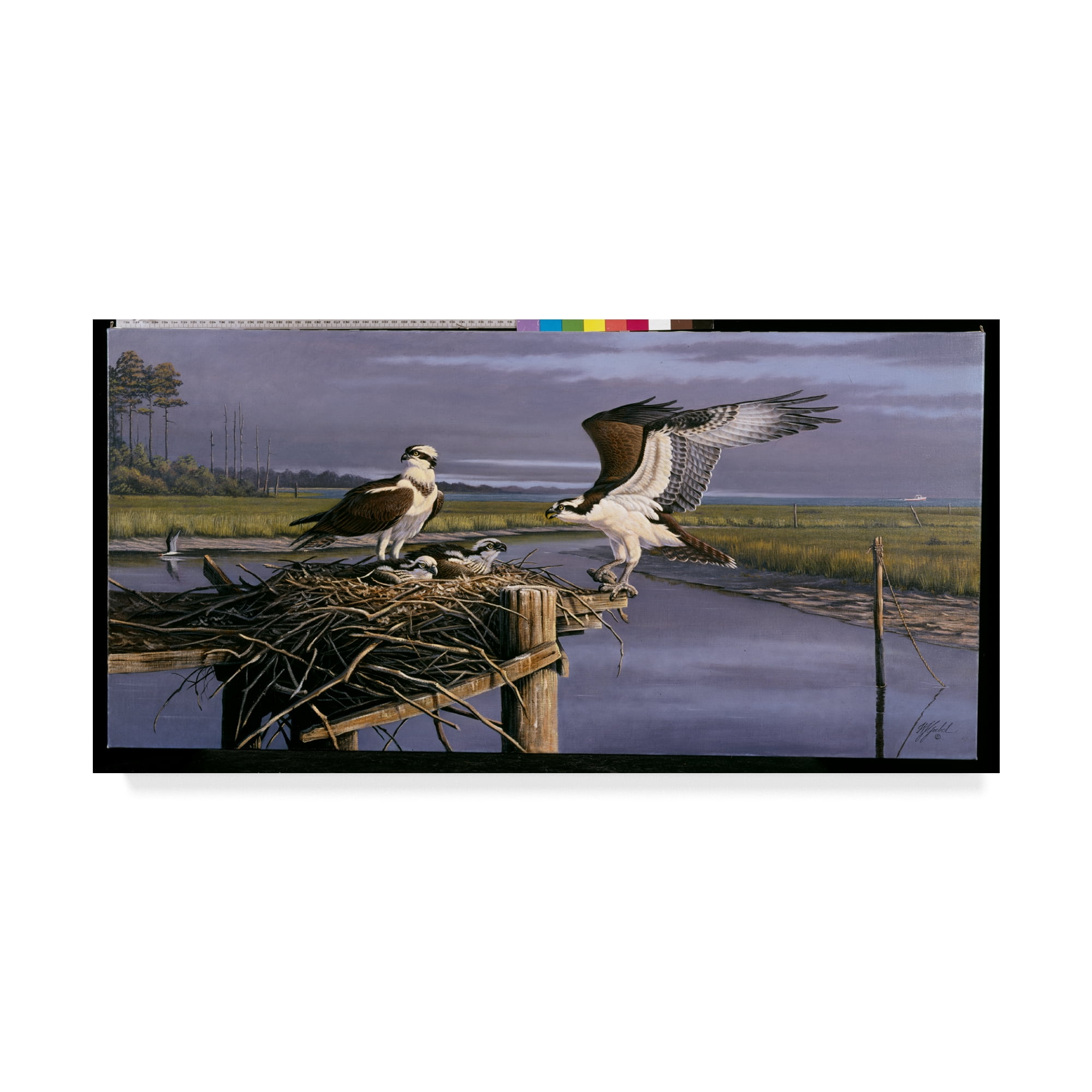 Trademark Fine Art 'Chesapeake Treasurers Osprey' Canvas Art by Wilhelm Goebel