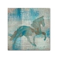 thumbnail image 1 of Trademark Fine Art 'Cheval II' Canvas Art by Studio Mousseau, 1 of 3