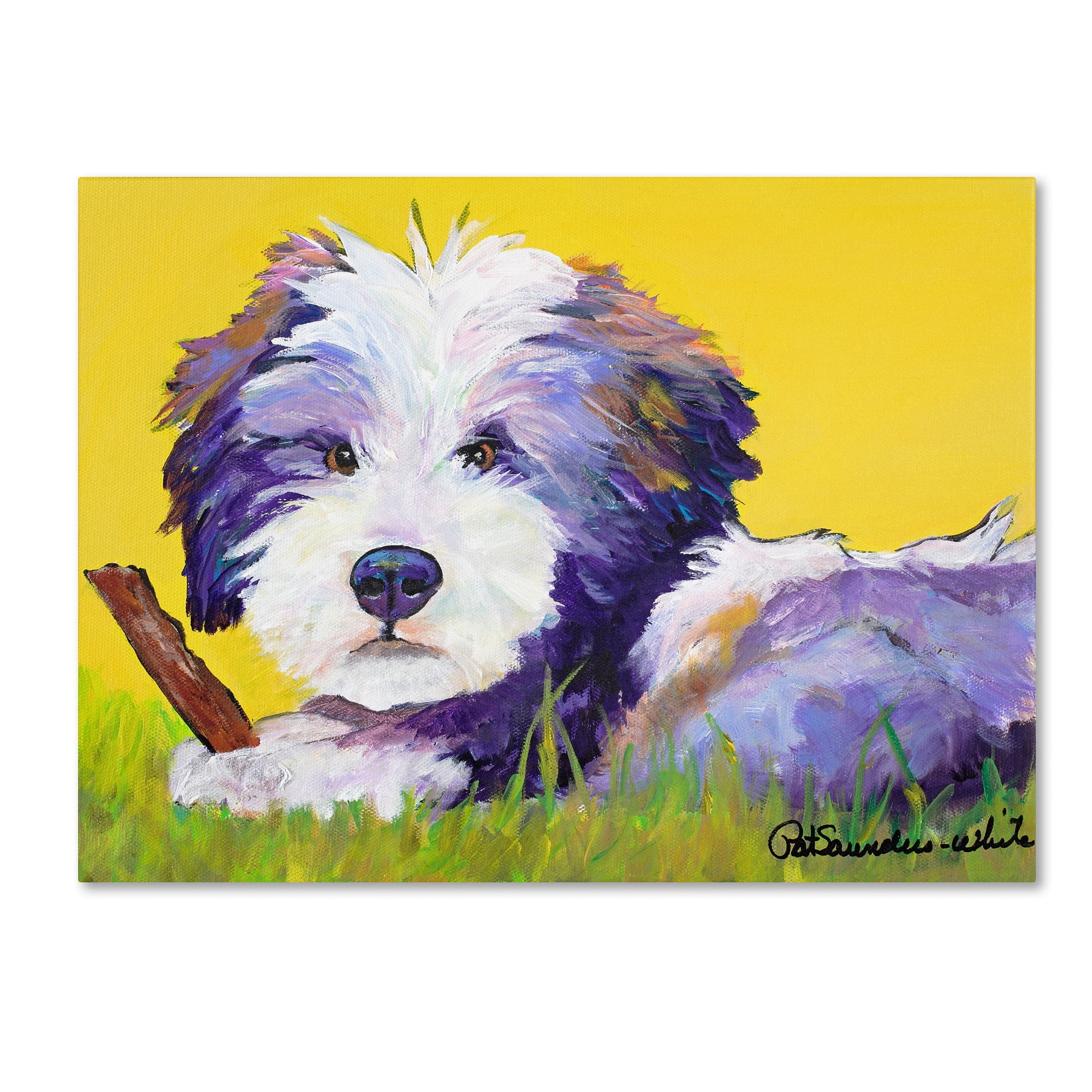 Trademark Fine Art "Chew Stick" Canvas Art by Pat Saunders-White