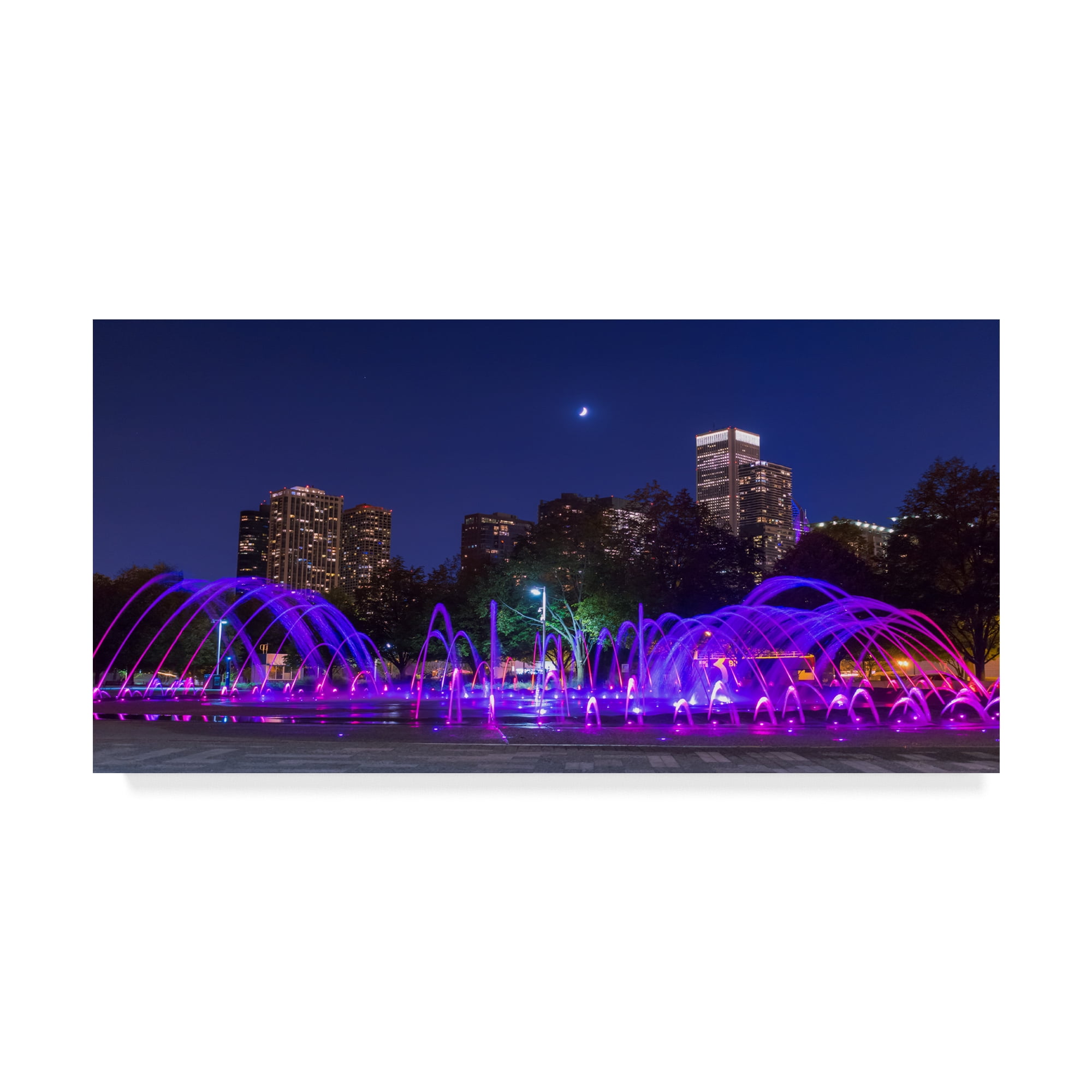 Trademark Fine Art 'Chicago Moonlight' Canvas Art by NjR Photos