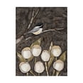 thumbnail image 1 of Trademark Fine Art 'Chickadee And Tulips I' Canvas Art by Jade Reynolds, 1 of 4