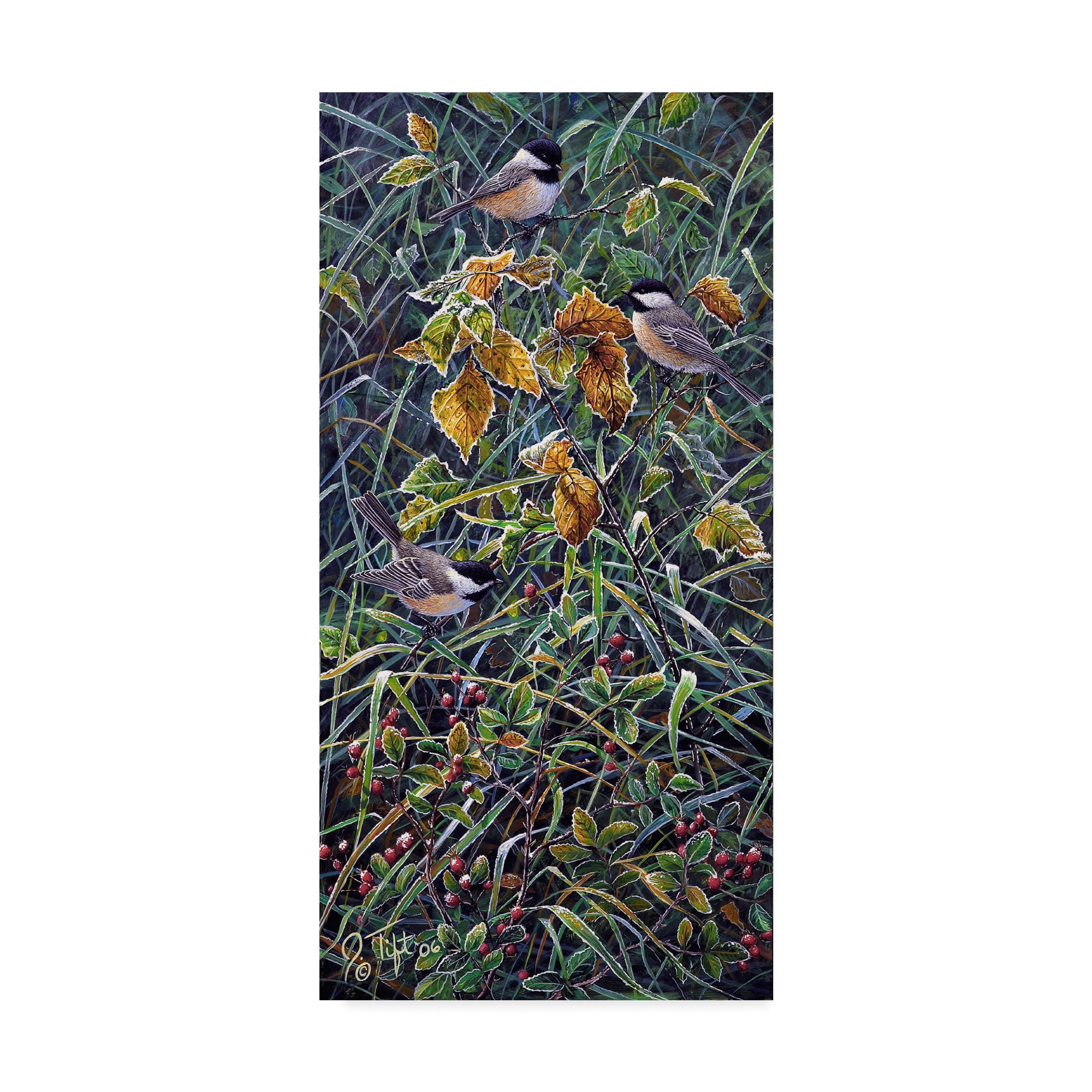 Trademark Fine Art 'Chickadee' Canvas Art by Jeff Tift