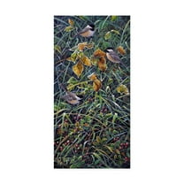 Trademark Fine Art 'Chickadee' Canvas Art by Jeff Tift