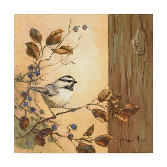 Trademark Fine Art ' Chickadee Square' Canvas Art by Barbara Mock