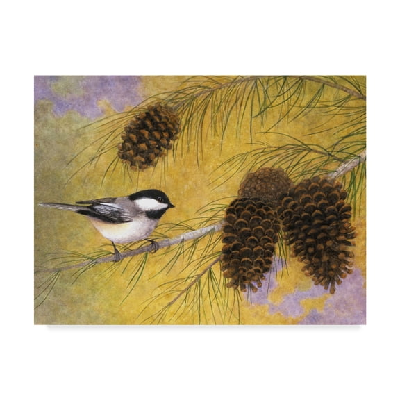 Trademark Fine Art 'Chickadee in the Pines I' Canvas Art by Marcia Matcham