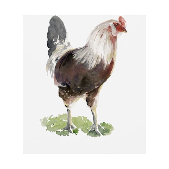 Trademark Fine Art 'Chicken Dance I' Canvas Art by Jennifer Paxton Parker