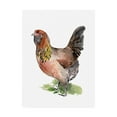 thumbnail image 1 of Trademark Fine Art 'Chicken Dance II' Canvas Art by Jennifer Paxton Parker, 1 of 3