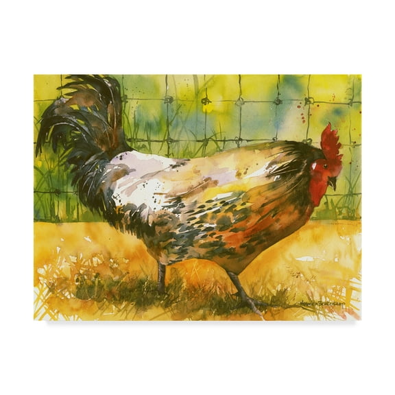 Trademark Fine Art 'Chicken Fence' Canvas Art by Annelein Beukenkamp
