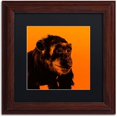 thumbnail image 1 of Trademark Fine Art "Chimp No 3" Canvas Art by Claire Doherty, Black Matte, Wood Frame, 1 of 4