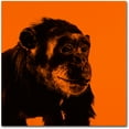 thumbnail image 1 of Trademark Fine Art "Chimp No 3" Canvas Art by Claire Doherty, 1 of 3