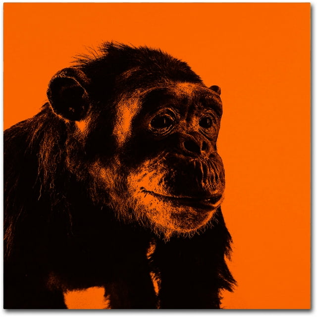 Trademark Fine Art "Chimp No 3" Canvas Art by Claire Doherty