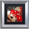 thumbnail image 1 of Trademark Fine Art "China Red I" Canvas Art by Color Bakery Black Matte, Silver Frame, 1 of 4