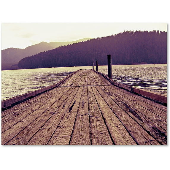 Trademark Fine Art "Chinook" Canvas Art by Leah Flores