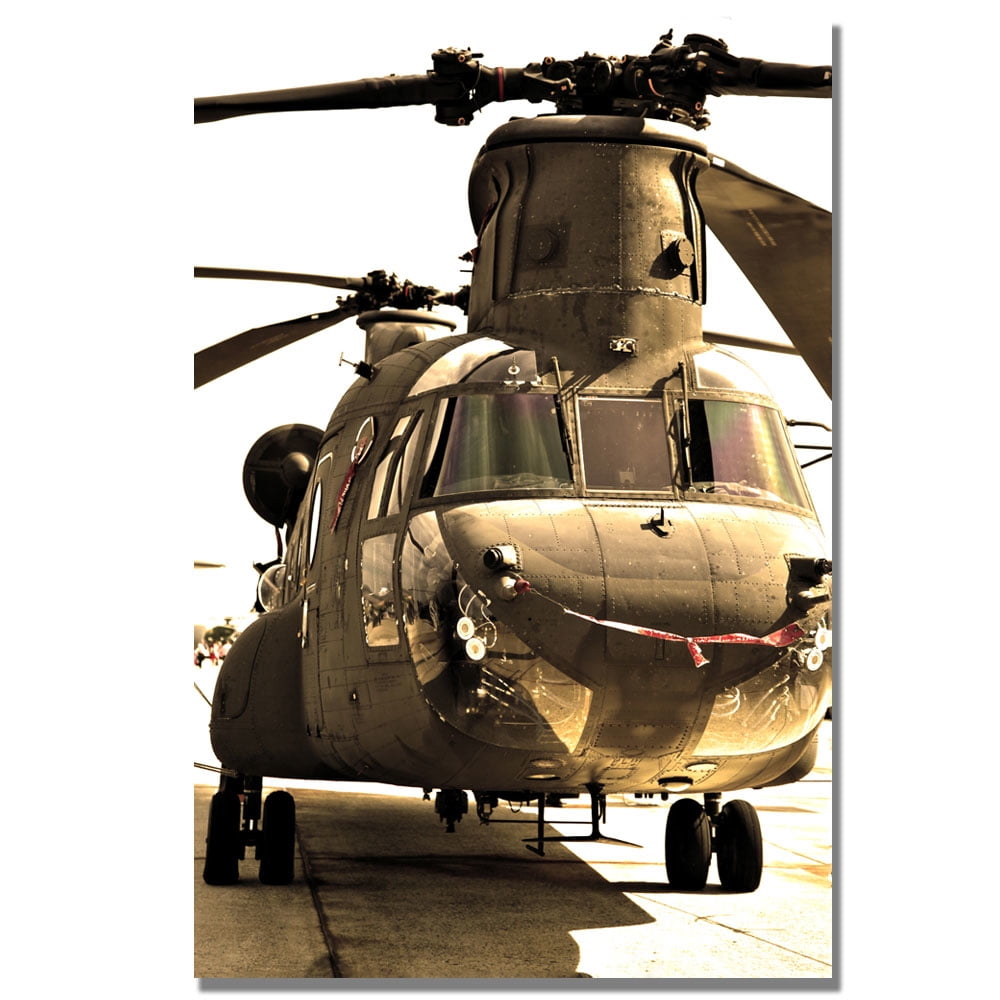 Trademark Fine Art "Chinook" Canvas Wall Art by MCat