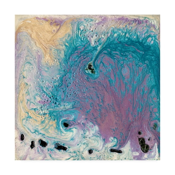 Trademark Fine Art 'Chinook I' Canvas Art by Alicia Ludwig