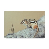 Trademark Fine Art 'Chipmunk' Canvas Art by Rusty Frentner