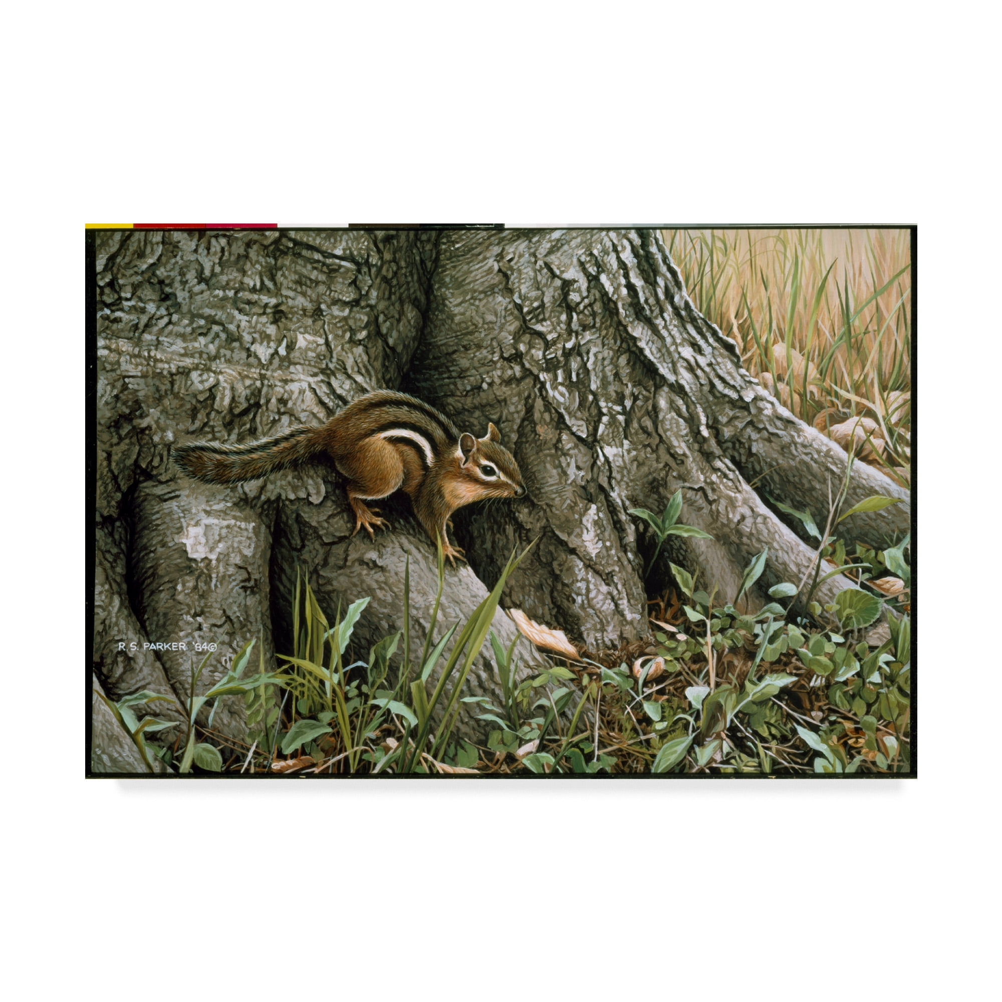Trademark Fine Art 'Chipmunk Wary Glance' Canvas Art by Ron Parker